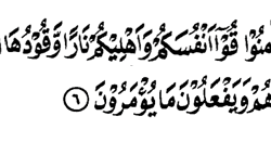 Detail Surat Al Tahrim Ayat 6 Nomer 18