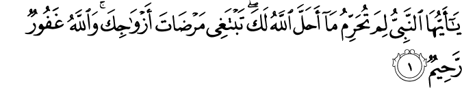 Detail Surat Al Tahrim Ayat 6 Nomer 27