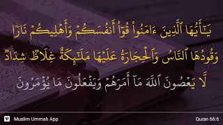 Download Surat Al Tahrim Ayat 6 Nomer 5