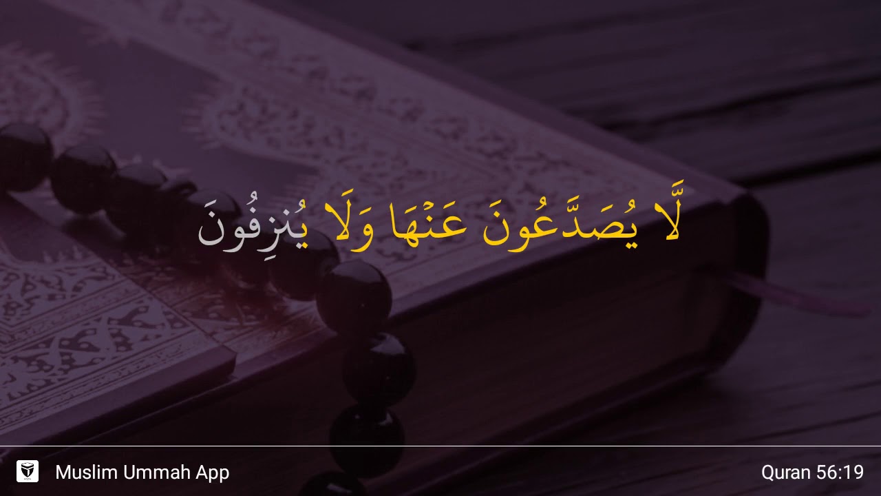 Detail Surat Al Waqiah Ayat 19 Nomer 3