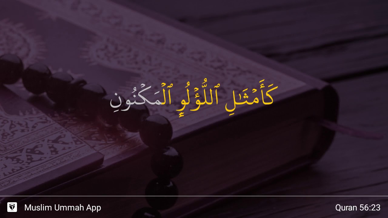 Surat Al Waqiah Ayat 23 - KibrisPDR