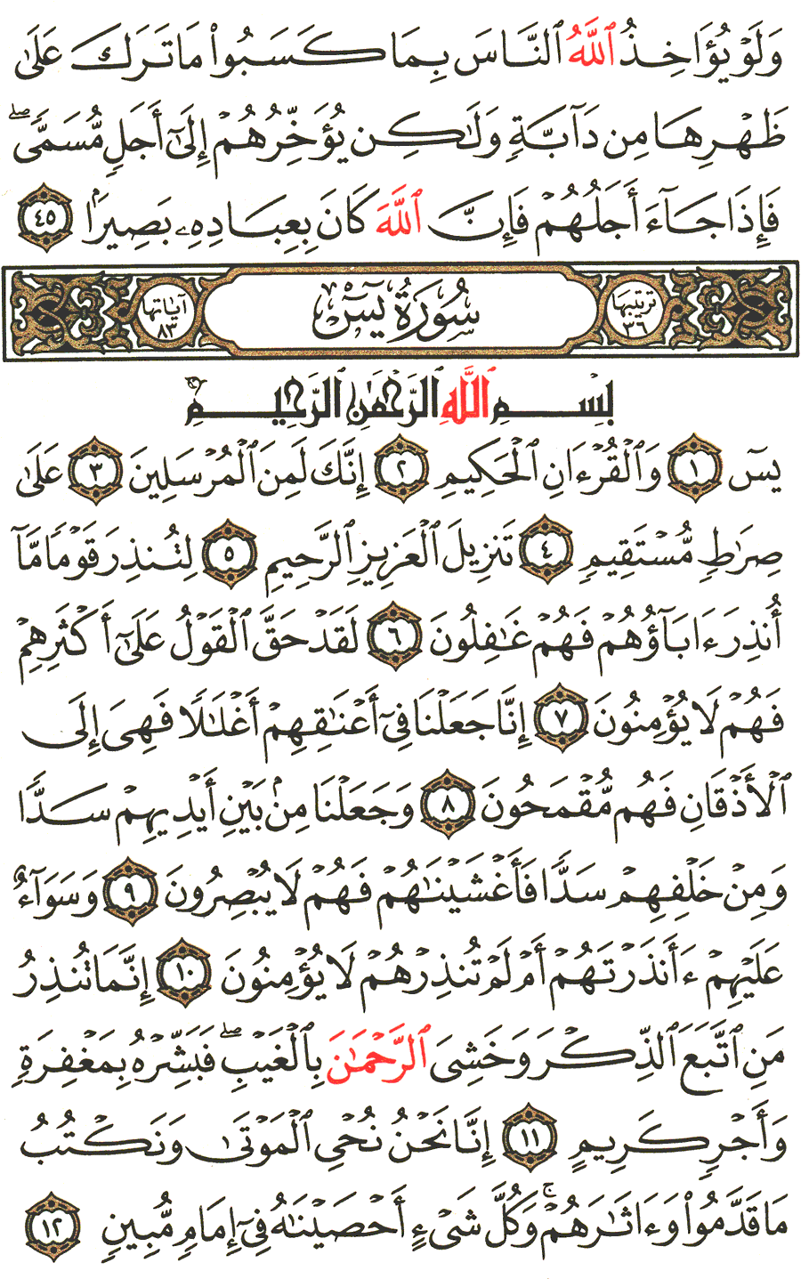 Detail Surat Al Yasin Nomer 2