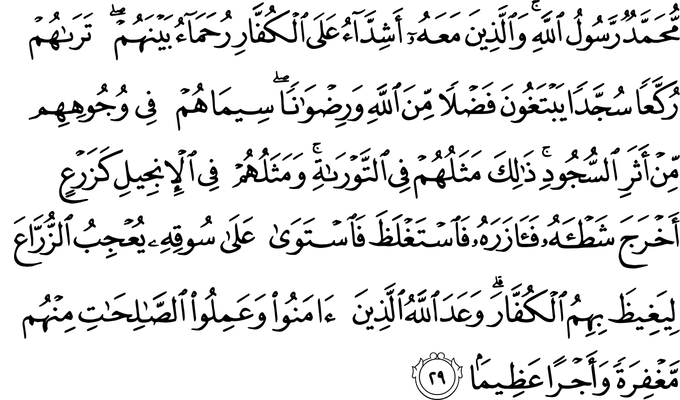 Surat Alfath Ayat 29 - KibrisPDR