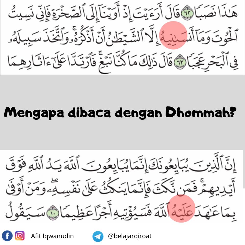 Detail Surat Alfath Ayat 29 Nomer 45