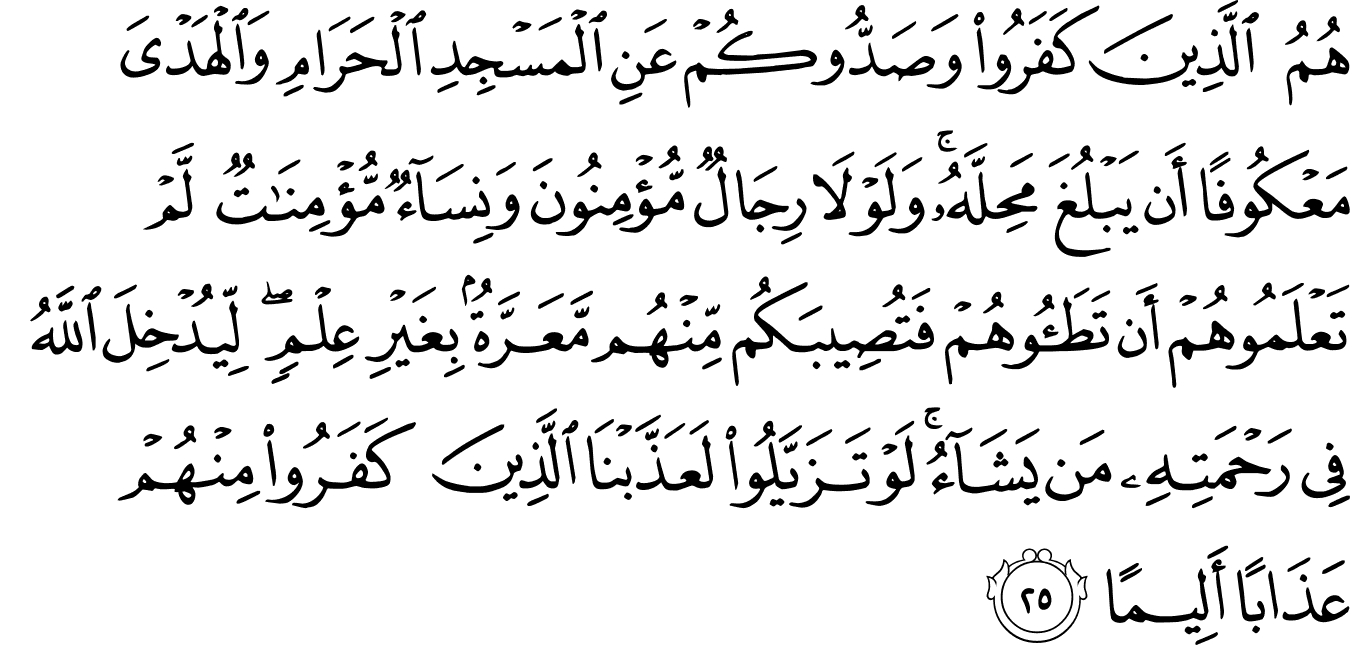 Detail Surat Alfath Ayat 29 Nomer 8