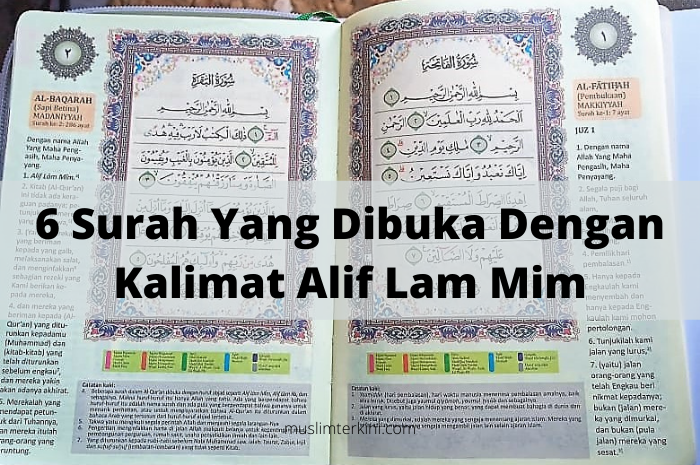 Detail Surat Alif Lam Nomer 33