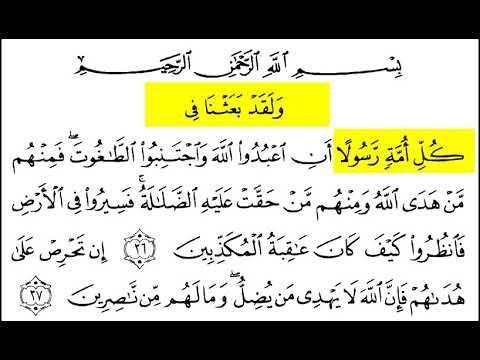 Detail Surat An Nahl 36 Nomer 9