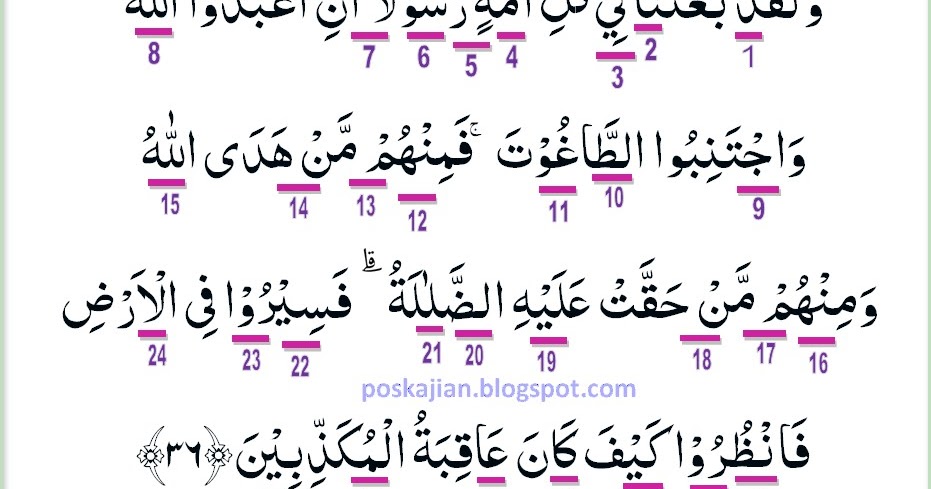 Detail Surat An Nahl 36 Nomer 22