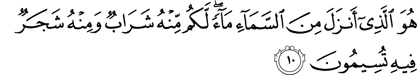 Detail Surat An Nahl Nomer 34