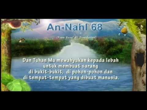 Detail Surat An Nahl 68 69 Nomer 30