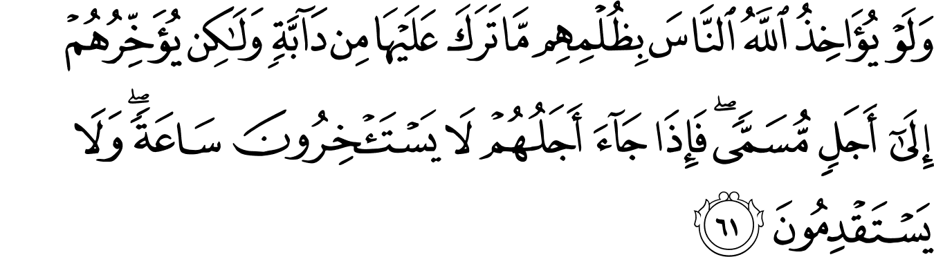 Detail Surat An Nahl 78 Nomer 15