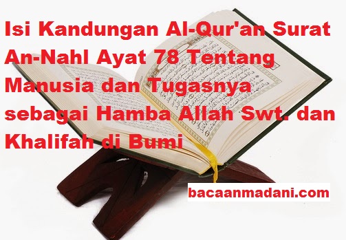 Detail Surat An Nahl 78 Nomer 23