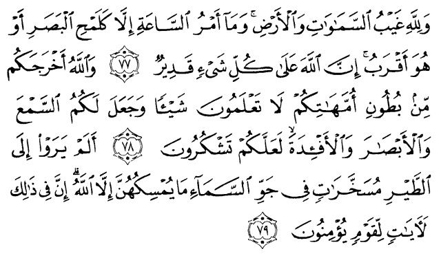 Detail Surat An Nahl 78 Nomer 24