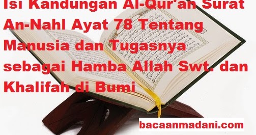 Detail Surat An Nahl 78 Nomer 26