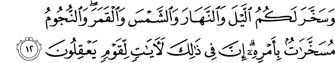 Detail Surat An Nahl Ayat 11 Nomer 17