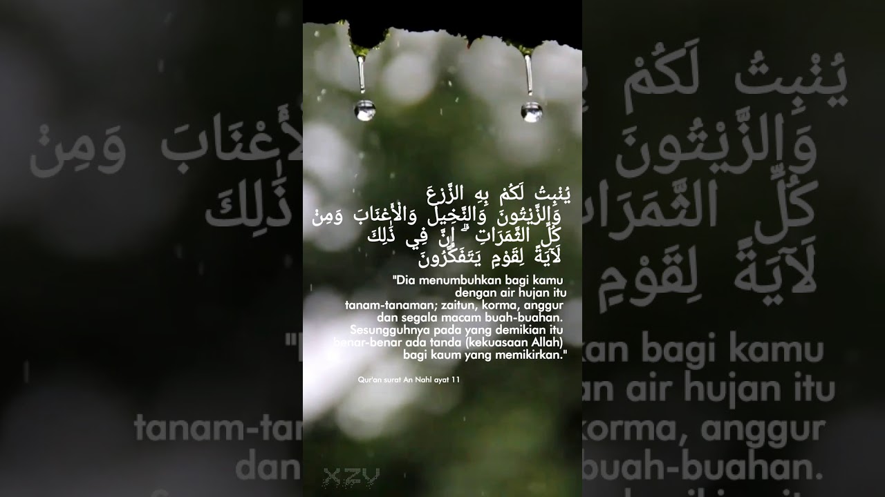 Detail Surat An Nahl Ayat 11 Nomer 9