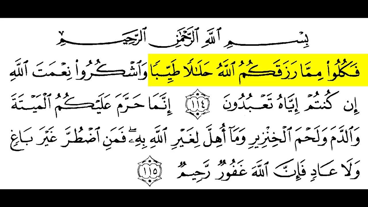 Detail Surat An Nahl Ayat 114 Nomer 17