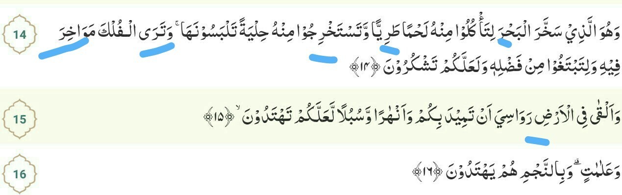 Detail Surat An Nahl Ayat 16 114 Nomer 33