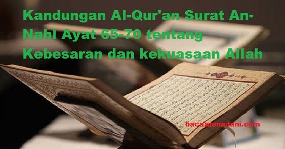 Detail Surat An Nahl Ayat 36 Nomer 43