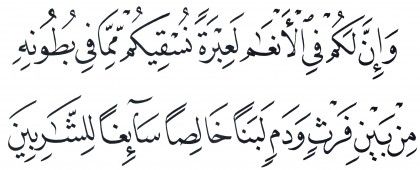 Detail Surat An Nahl Ayat 44 Nomer 37