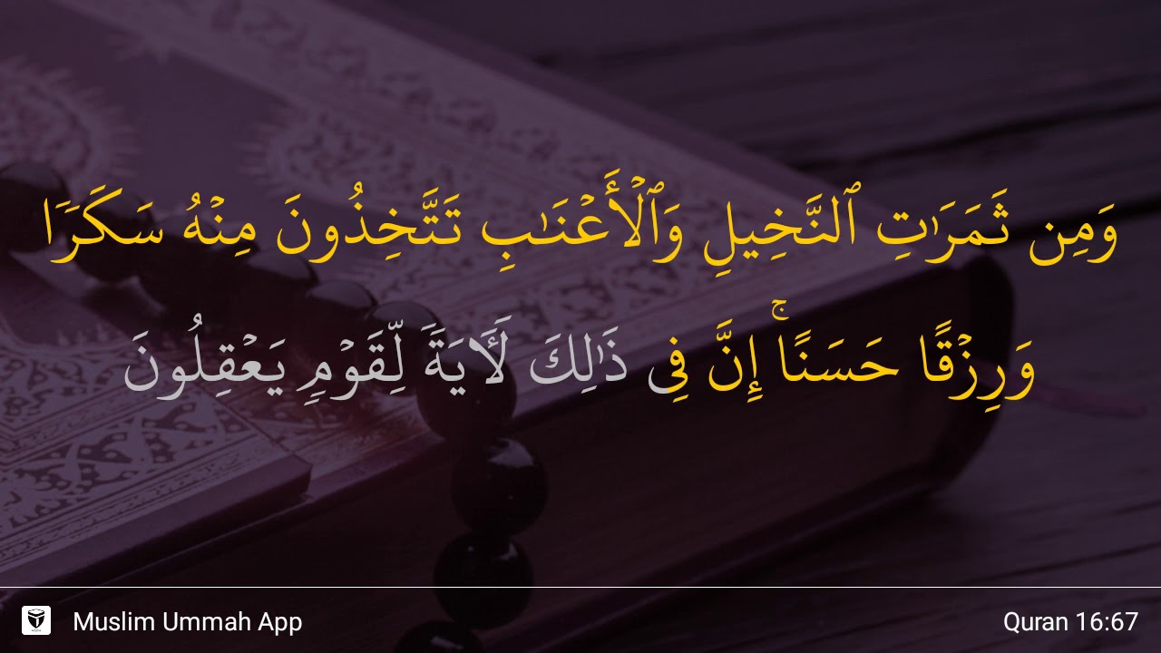 Surat An Nahl Ayat 67 - KibrisPDR