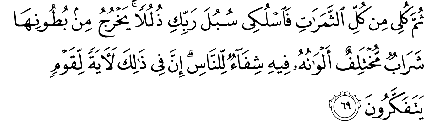 Surat An Nahl Ayat 68 69 - KibrisPDR