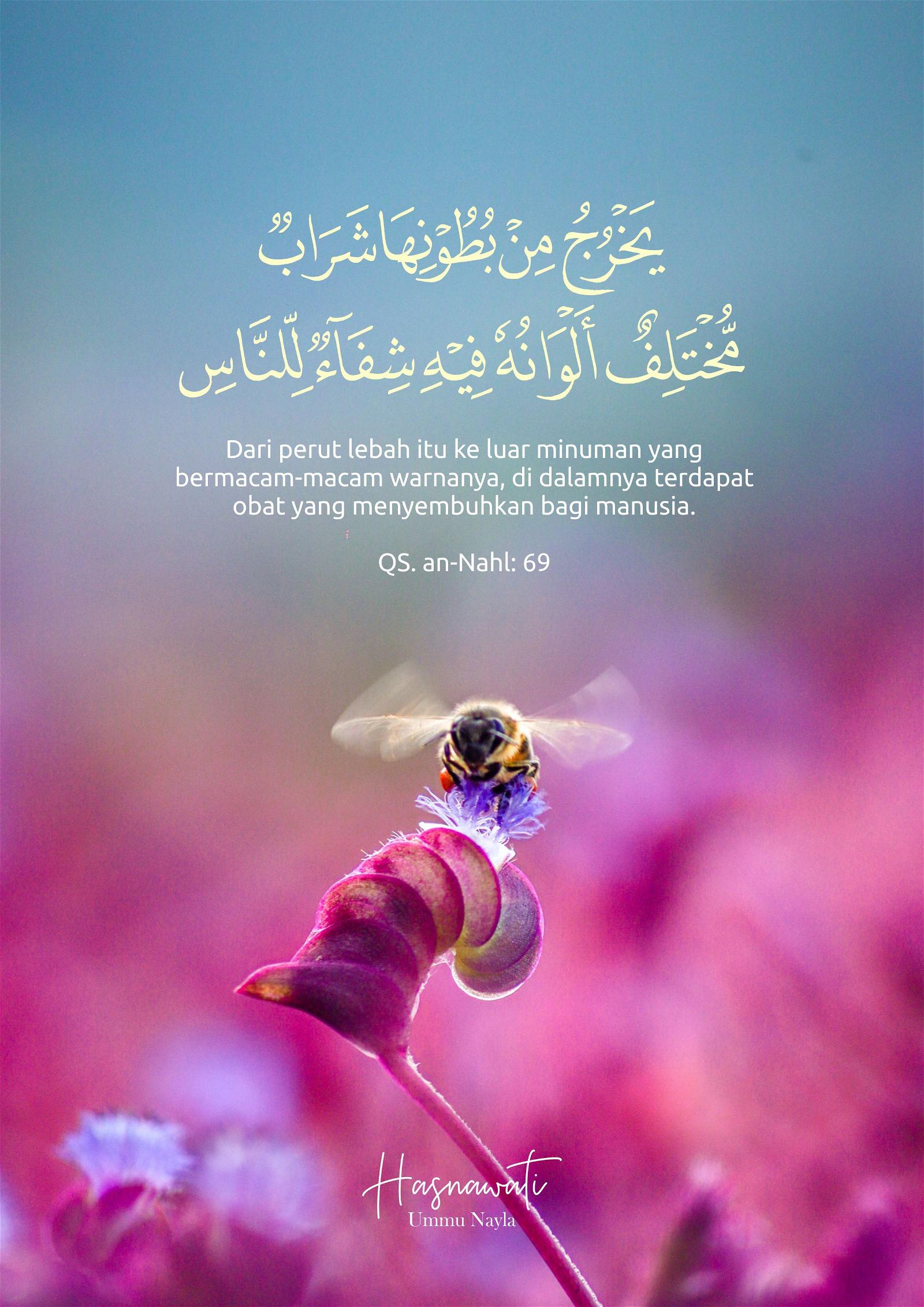 Detail Surat An Nahl Ayat 68 69 Nomer 36