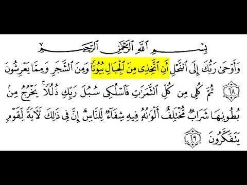 Detail Surat An Nahl Ayat 69 Nomer 17