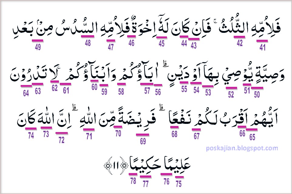 Detail Surat An Nisa Ayat 11 Nomer 19
