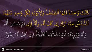 Detail Surat An Nisa Ayat 11 Nomer 9