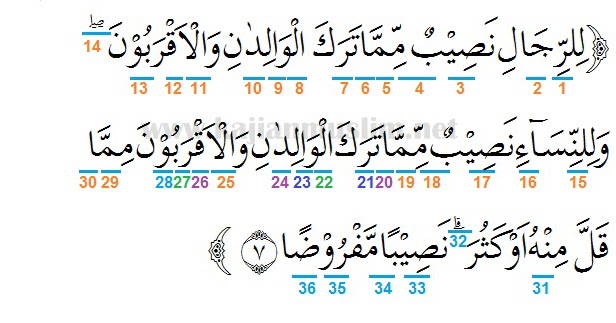 Detail Surat An Nisa Ayat 7 Nomer 11