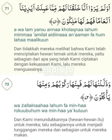 Detail Surat An Nur Ayat 2 Latin Nomer 16