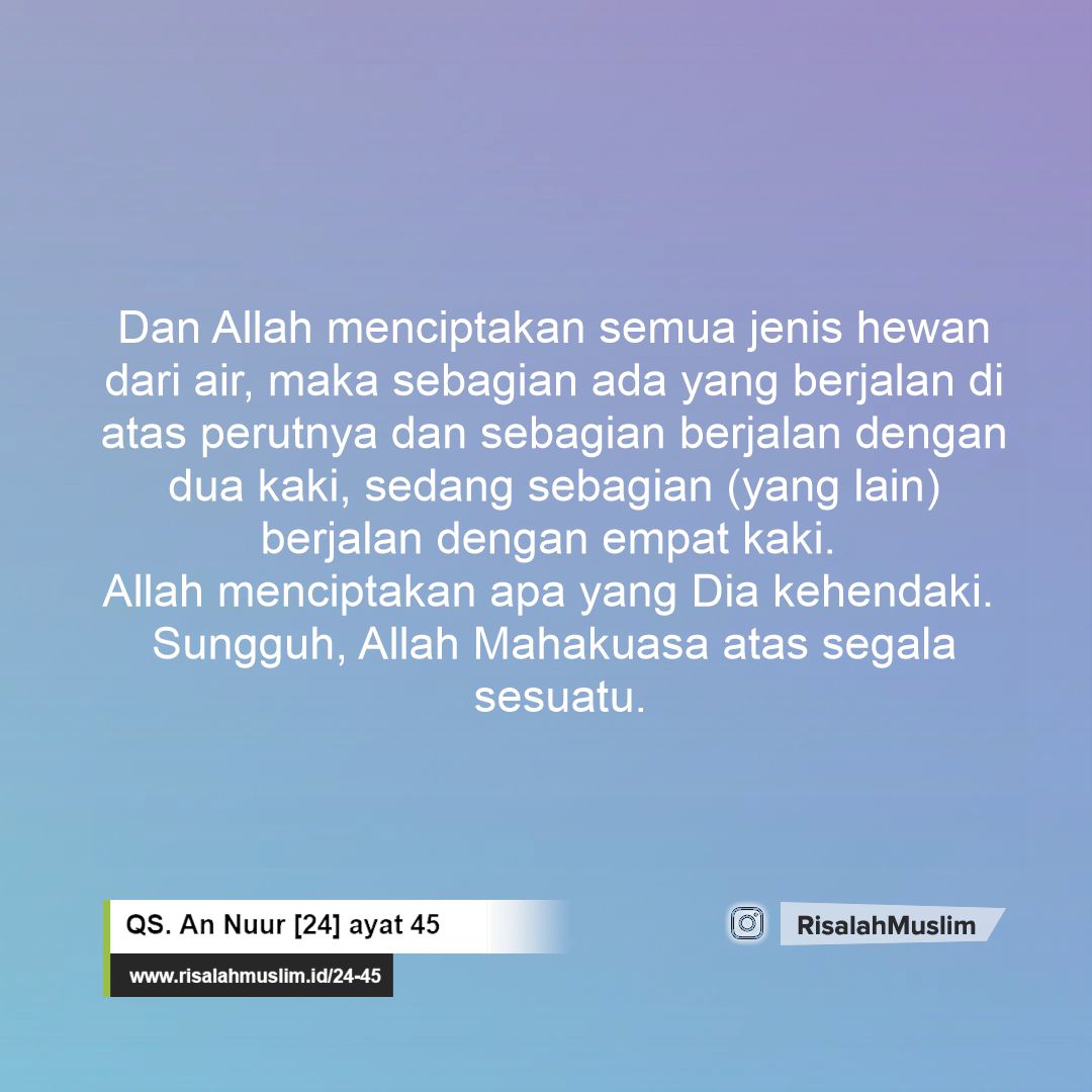 Detail Surat An Nur Ayat 45 Nomer 10