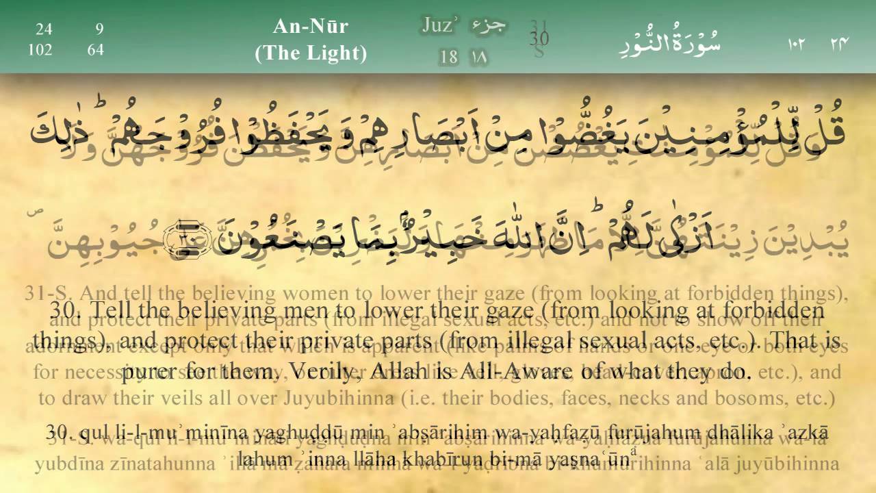 Detail Surat An Nur Ayat 45 Nomer 17