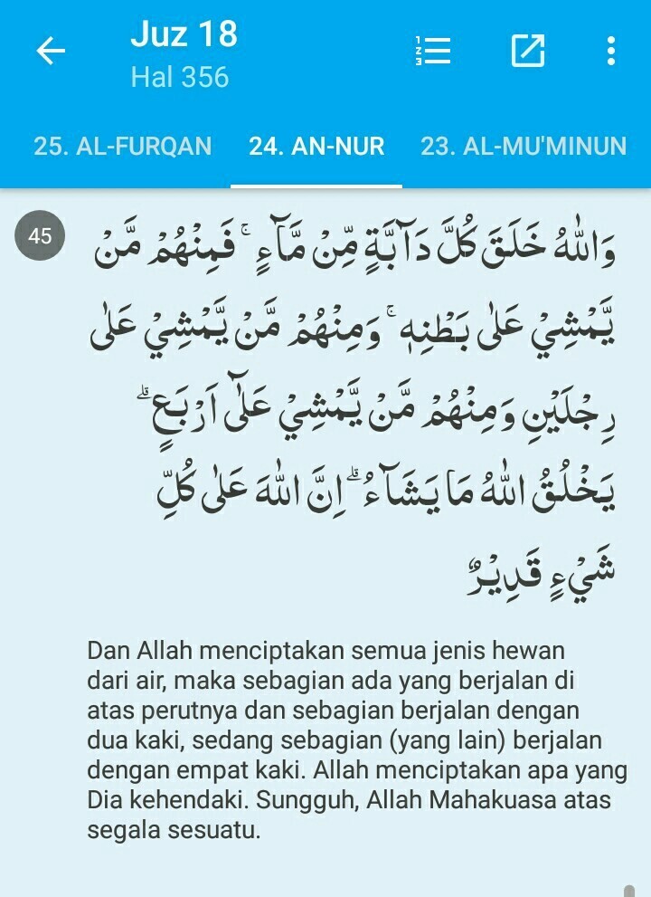 Detail Surat An Nur Ayat 45 Nomer 4