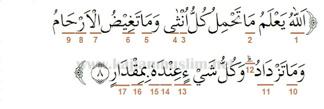 Detail Surat Ar Rad Ayat 8 Nomer 5