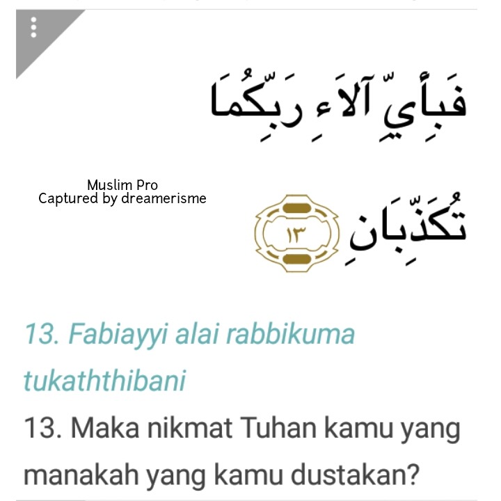 Detail Surat Ar Rahman Ayat 13 Nomer 20