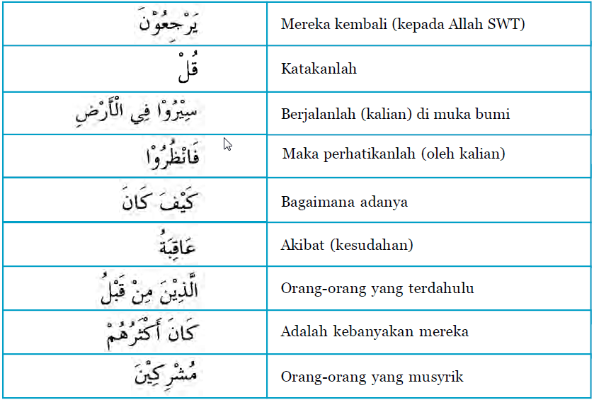 Detail Surat Ar Rum Ayat 41 42 Nomer 39