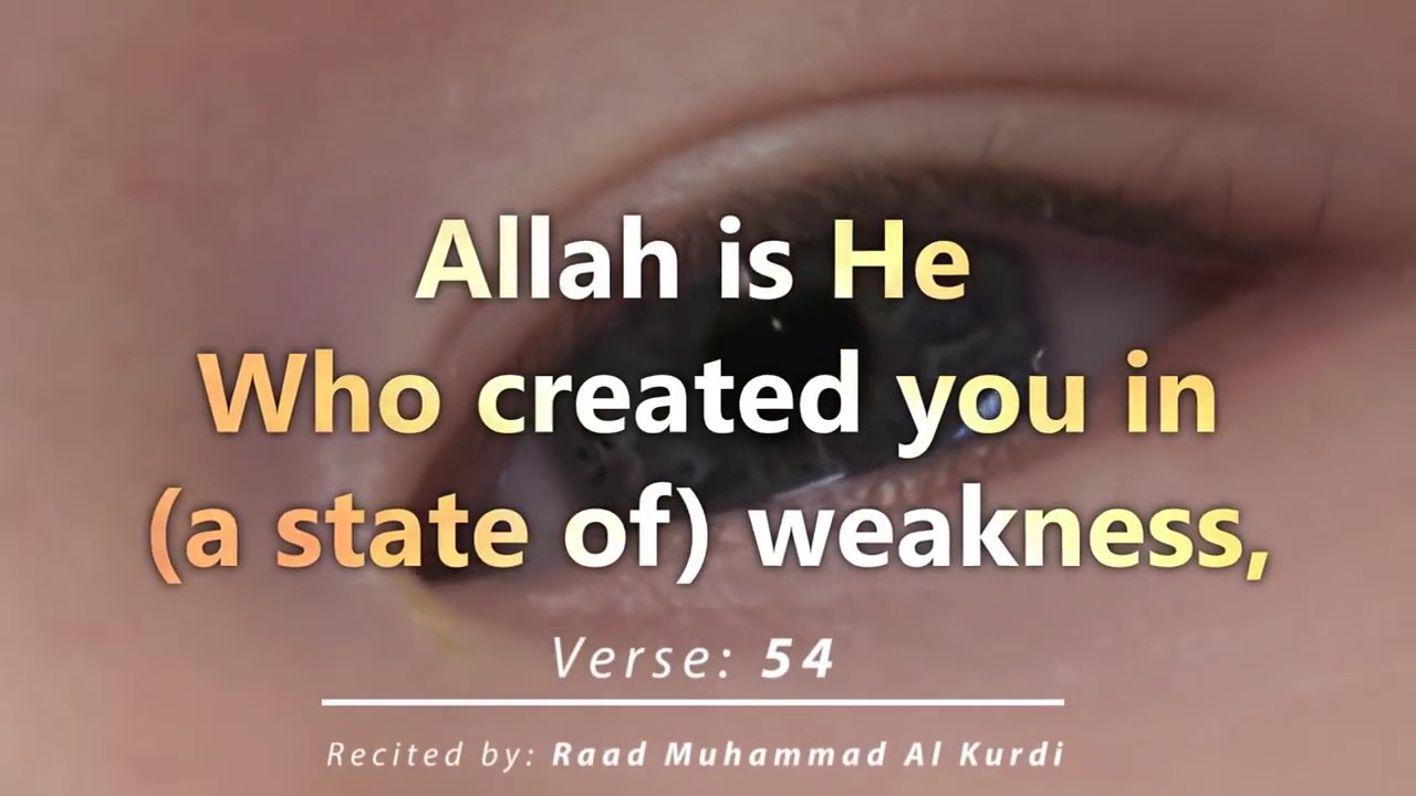 Detail Surat Ar Rum Ayat 54 Nomer 10