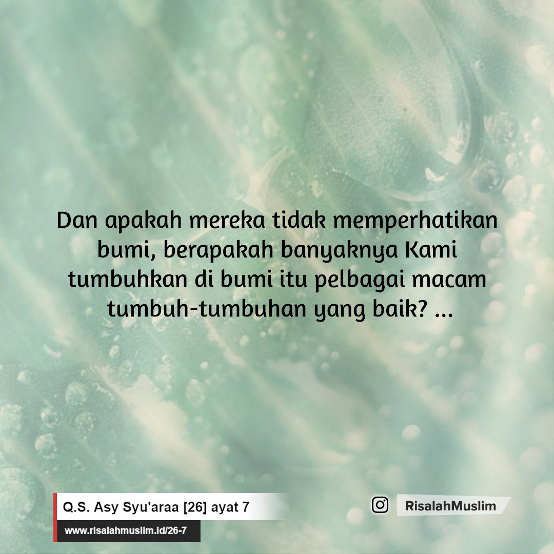 Detail Surat Asy Syu Ara Ayat 1 Nomer 27