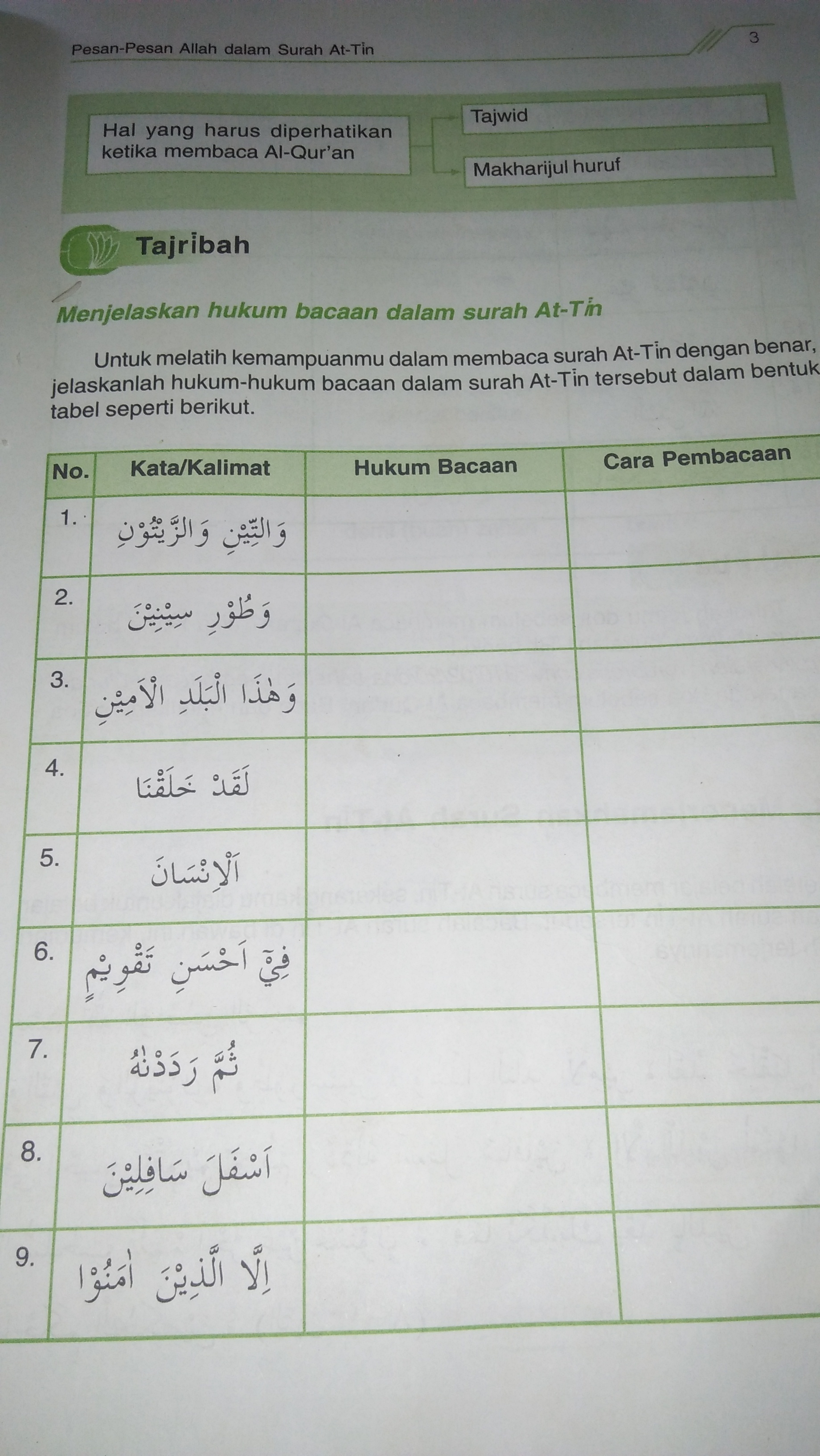 Detail Surat At Tin Dan Tajwidnya Nomer 13