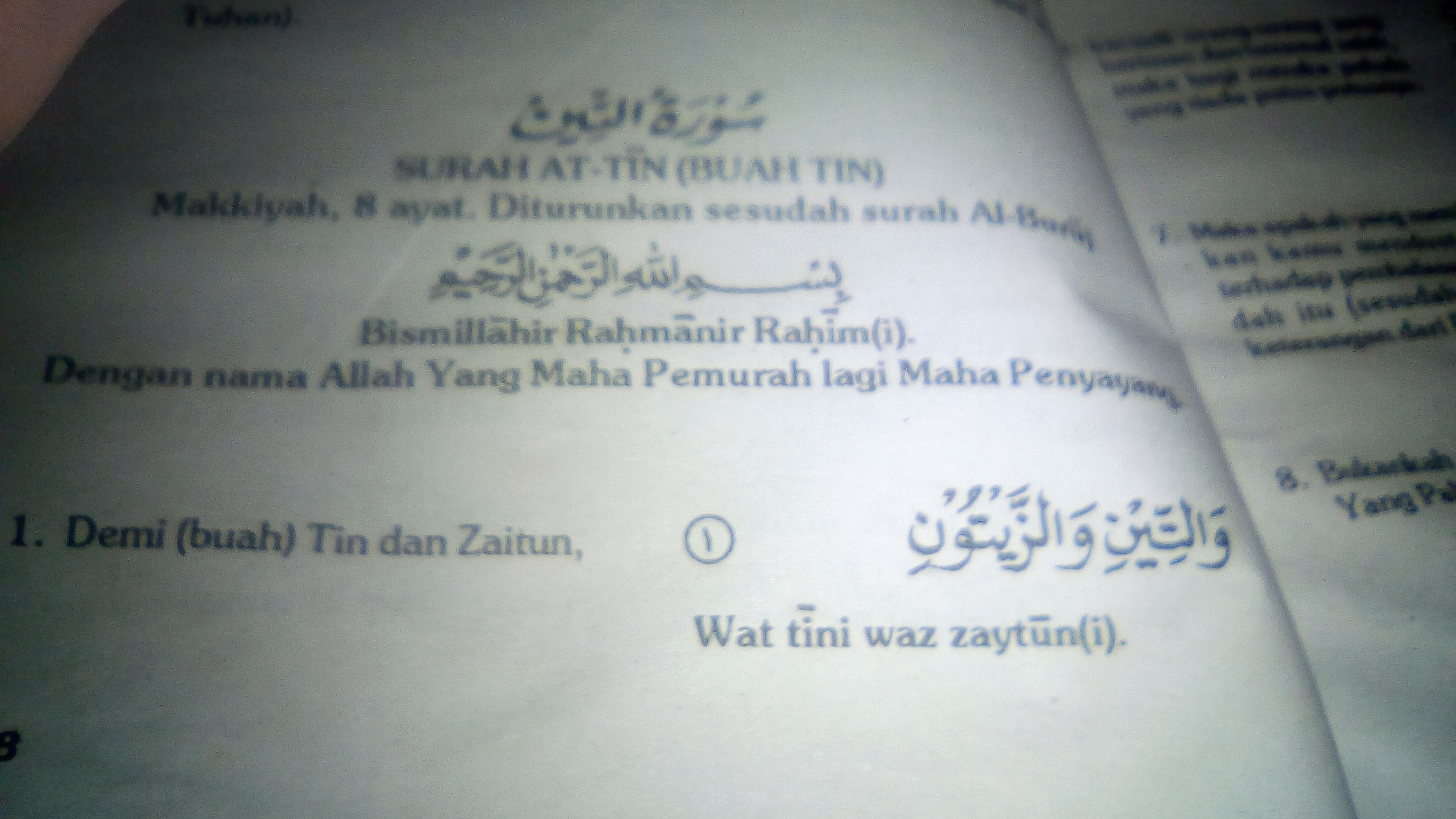 Detail Surat At Tin Dan Terjemahannya Nomer 25