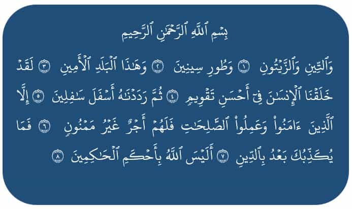 Detail Surat At Tin Dan Terjemahannya Nomer 36