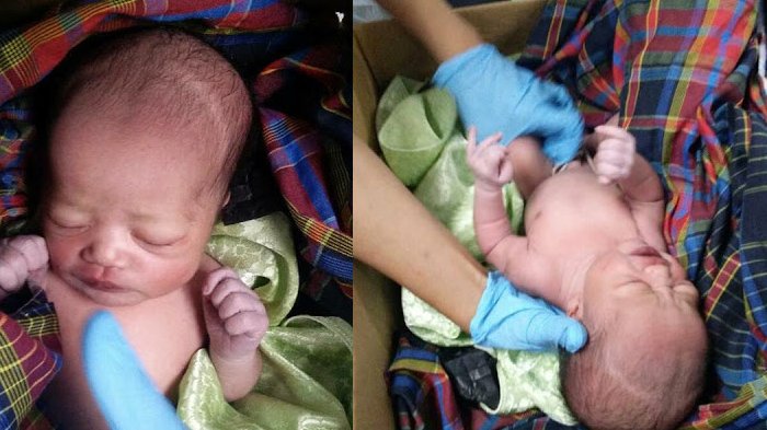 Detail Surat Bayi Baru Lahir Nomer 44