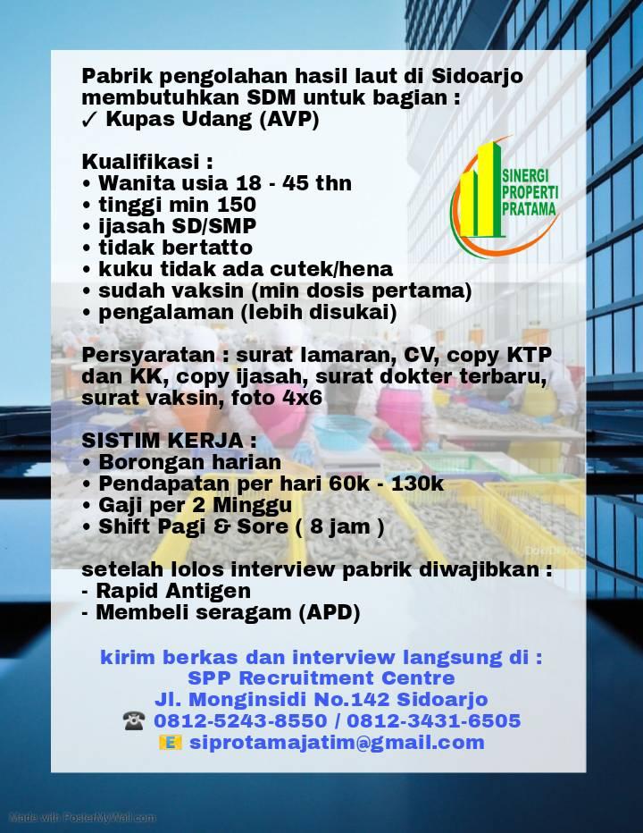 Detail Surat Dokter Sidoarjo Nomer 29