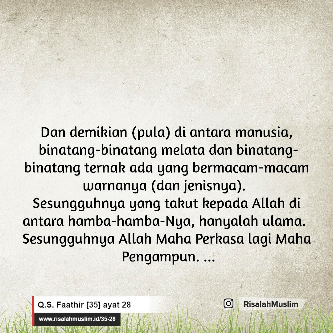 Detail Surat Fathir Ayat 29 30 Nomer 33