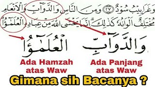 Detail Surat Fatir Ayat 28 Nomer 27