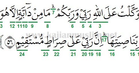 Detail Surat Hud Ayat 1 Nomer 32