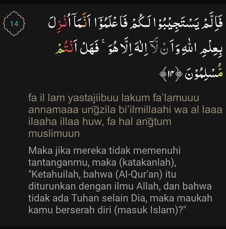 Detail Surat Hud Ayat 14 Nomer 29