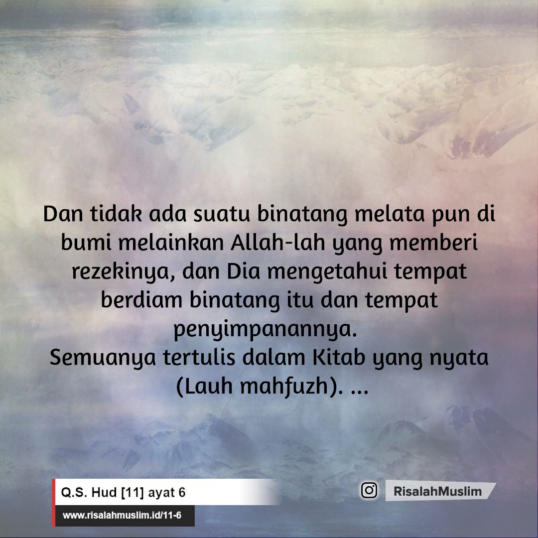 Detail Surat Hud Ayat 16 Nomer 16